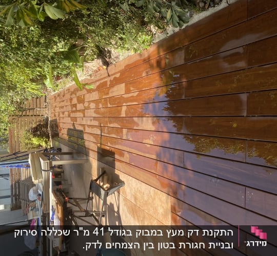 דק עץ רטוב עם צמחים מסביב